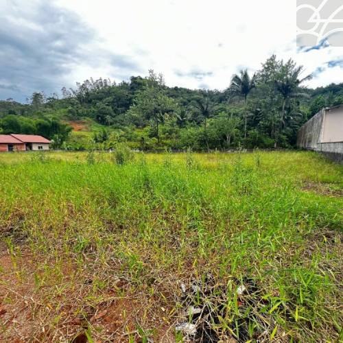 Terreno no bairro figueirinha 