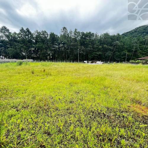 Terreno no bairro figueirinha 