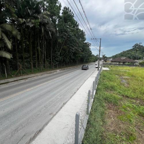 Terreno no bairro figueirinha 