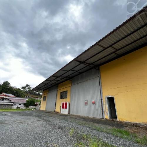 GALP�O NO BAIRRO NOVA ESPERAN�A 