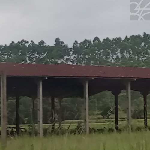 GALP�O no centro 