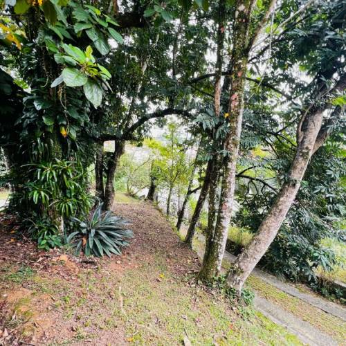 CASA COMERCIAL NO BAIRRO NOVA BRAS�LIA 