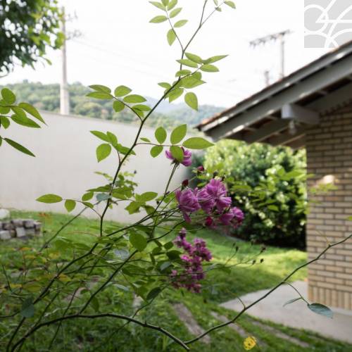 Casa Comercial no bairro Amizade