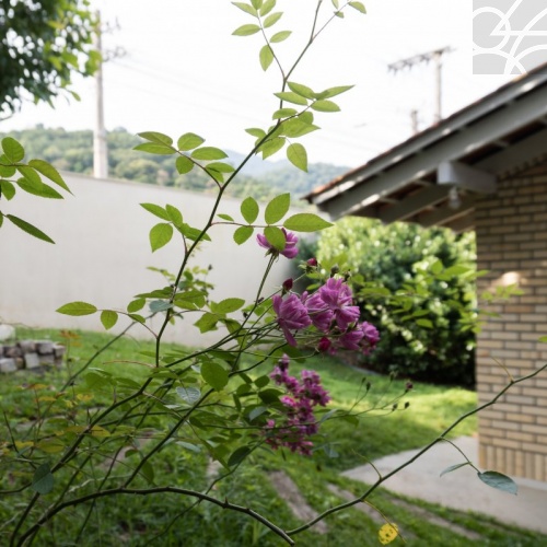 Casa Comercial no bairro Amizade