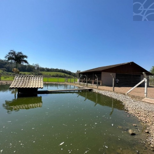 Sitio na cidade de  Massaranduba 