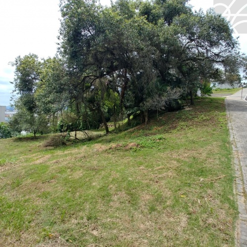 Terreno no bairro Baependi 