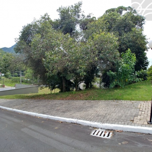 Terreno no bairro Baependi 